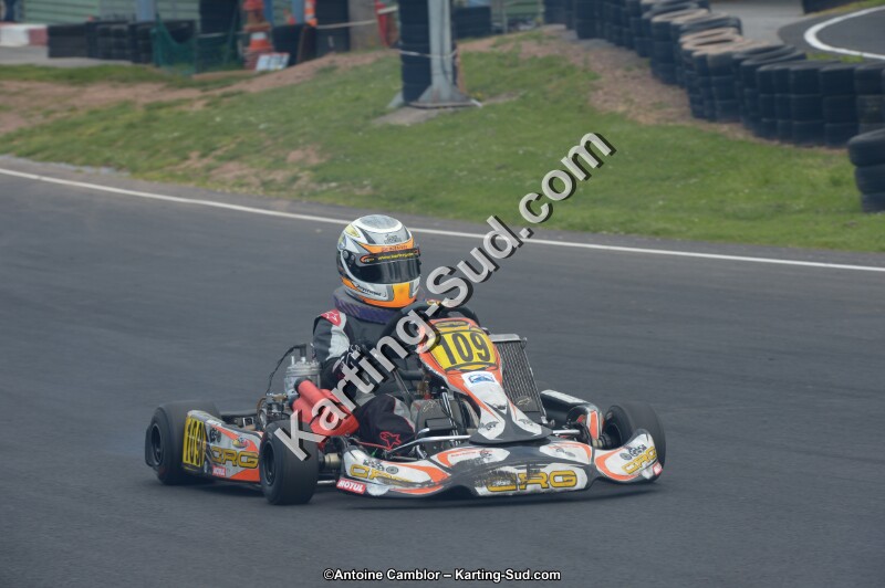 DSC_3687.jpg