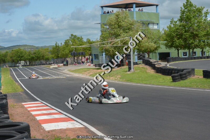 DSC_3740.jpg