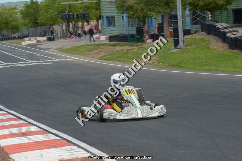 DSC_3754.jpg
