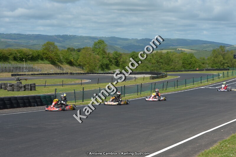 DSC_3774.jpg