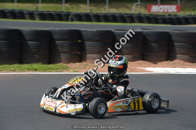 DSC_3775.jpg