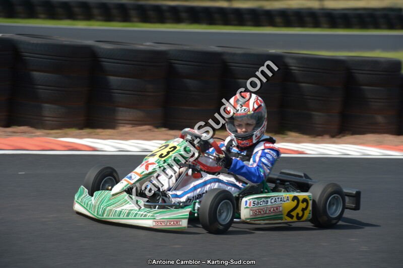 DSC_3778.jpg