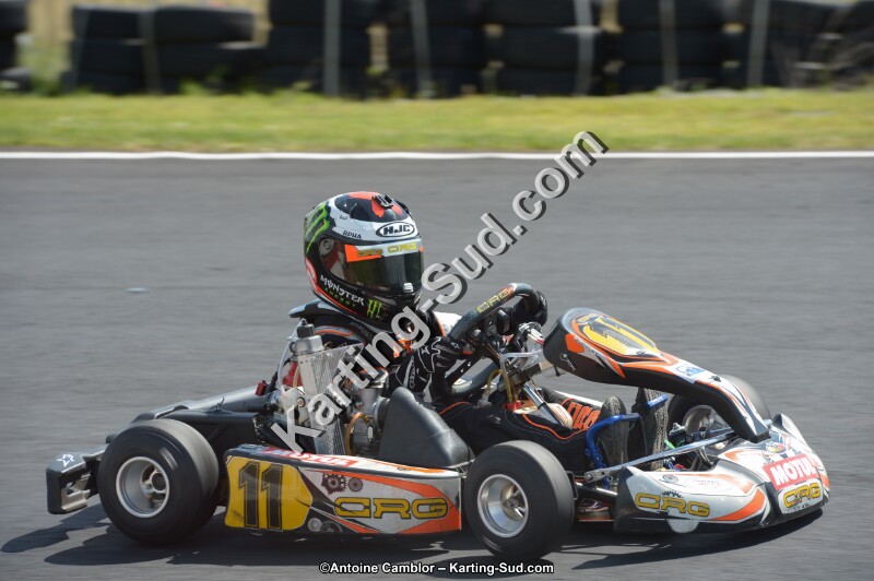 DSC_3839.jpg