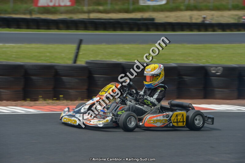 DSC_3917.jpg