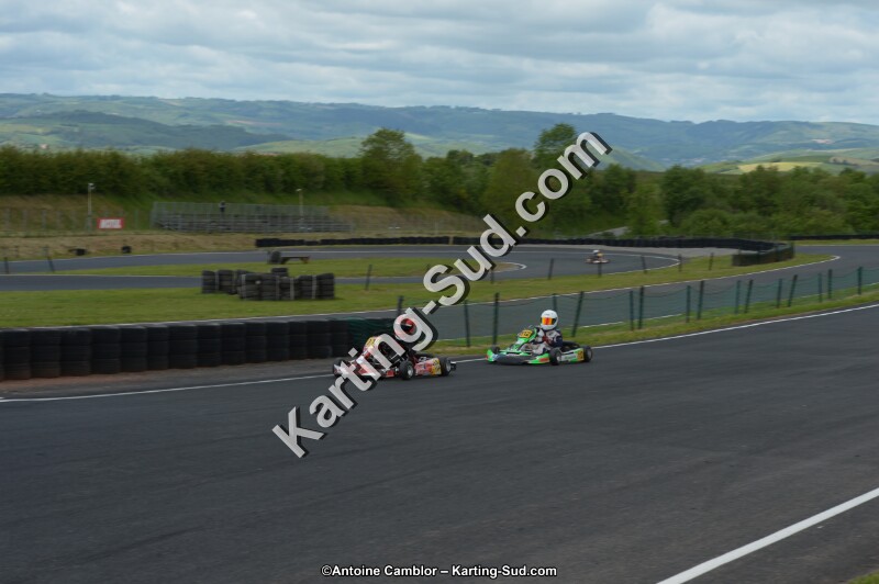 DSC_3929.jpg