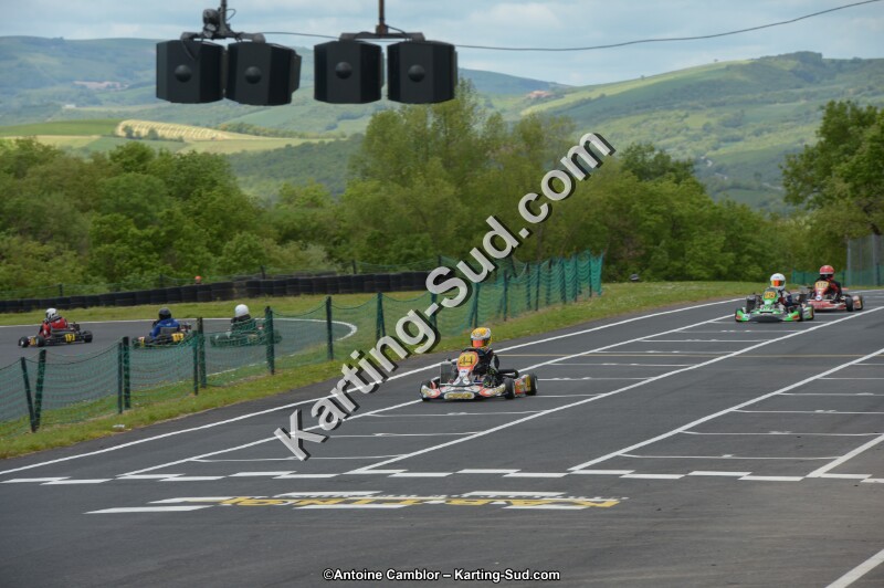 DSC_3953.jpg