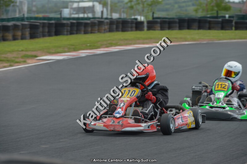 DSC_3979.jpg