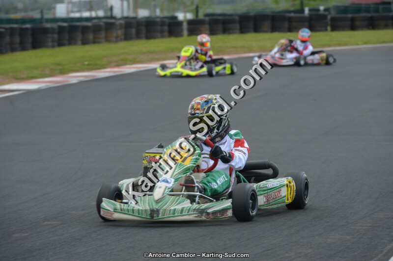 DSC_3981.jpg