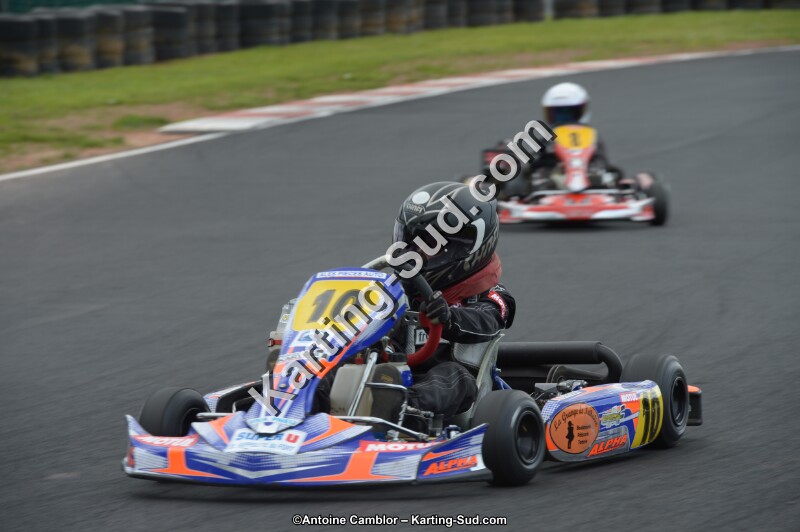 DSC_3990.jpg