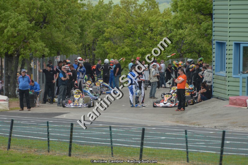 DSC_4135.jpg