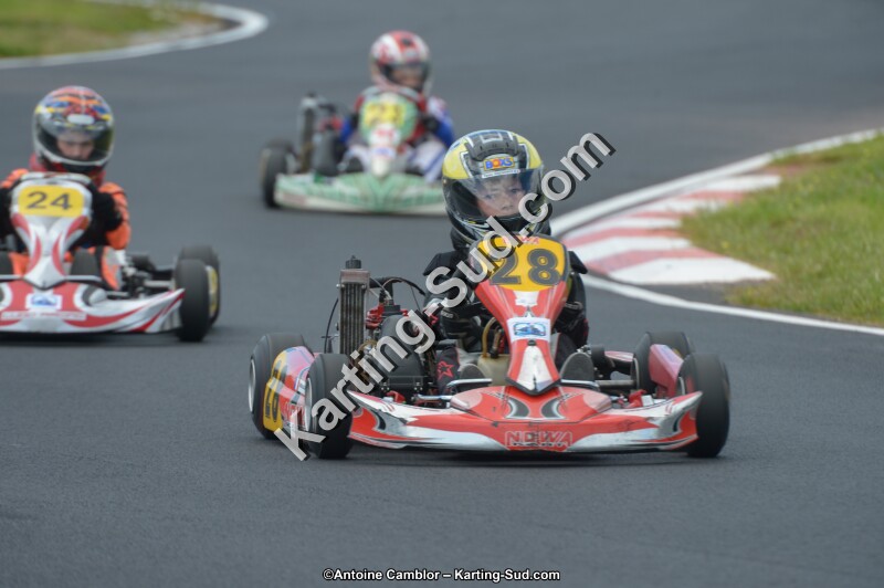 DSC_4154.jpg