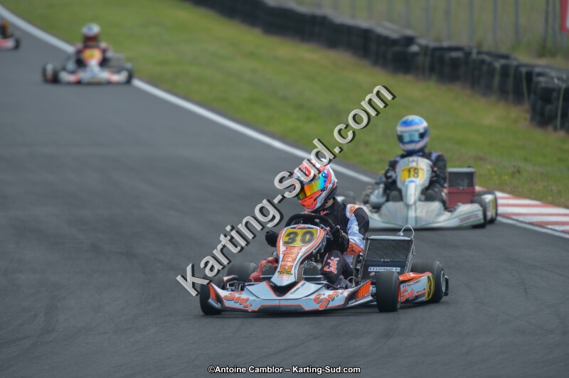 DSC_4201.jpg