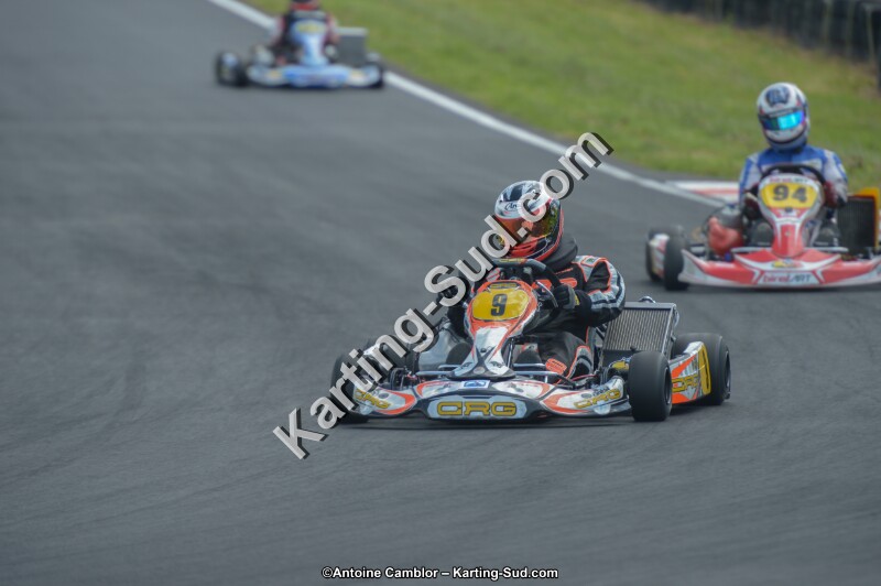 DSC_4203.jpg