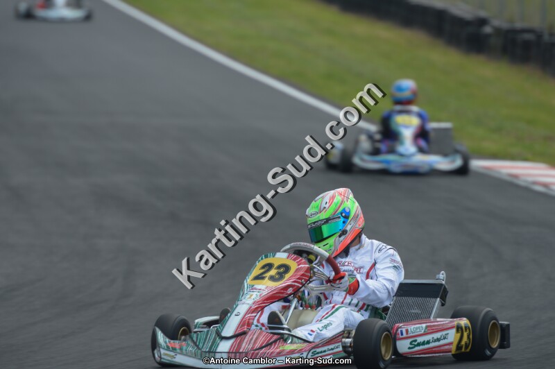DSC_4207.jpg