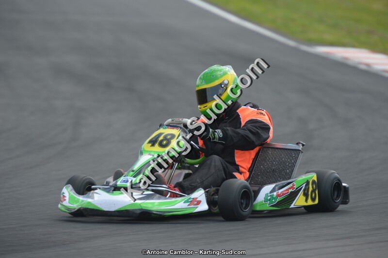 DSC_4216.jpg