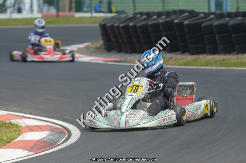 DSC_4246.jpg