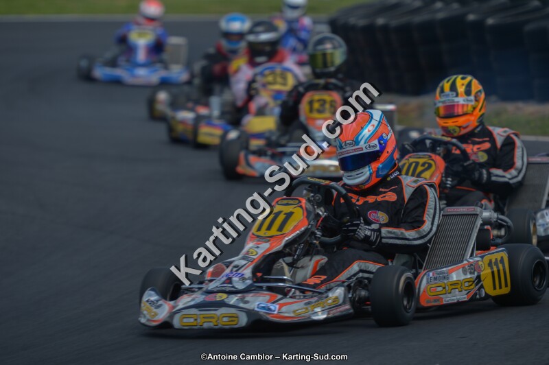 DSC_4311.jpg