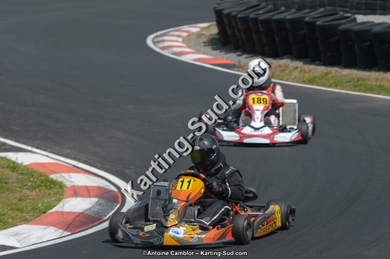 DSC_4331.jpg