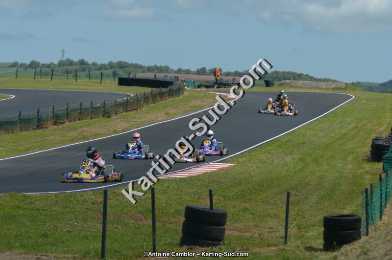 DSC_4333.jpg