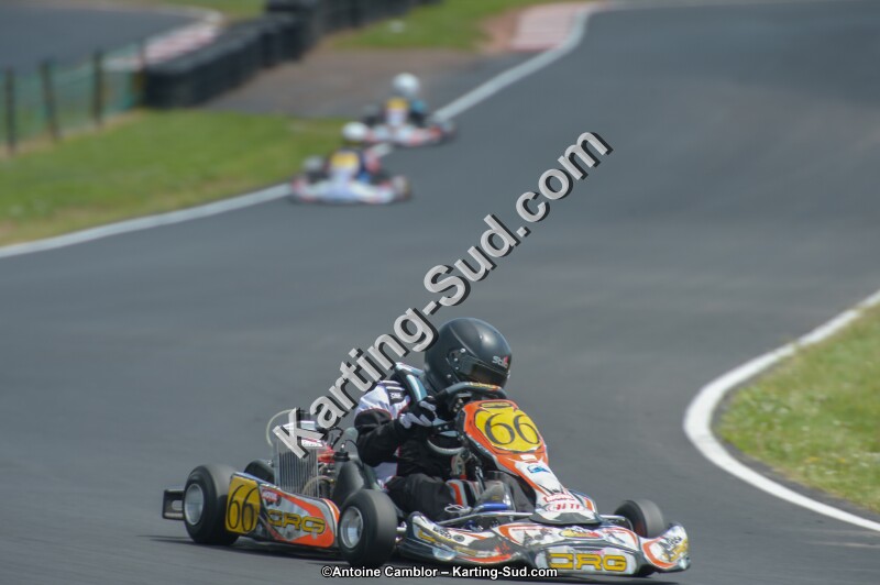 DSC_4406.jpg