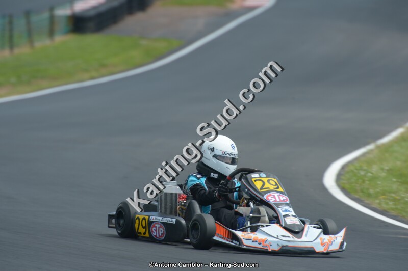 DSC_4408.jpg