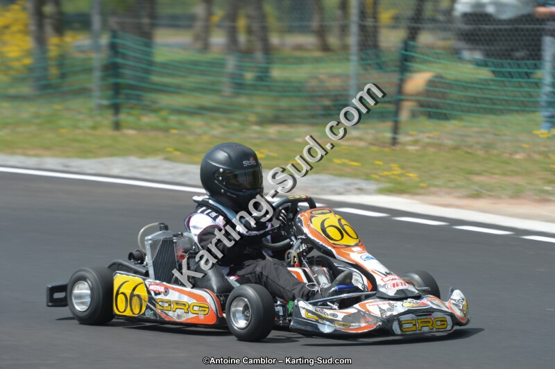 DSC_4433.jpg