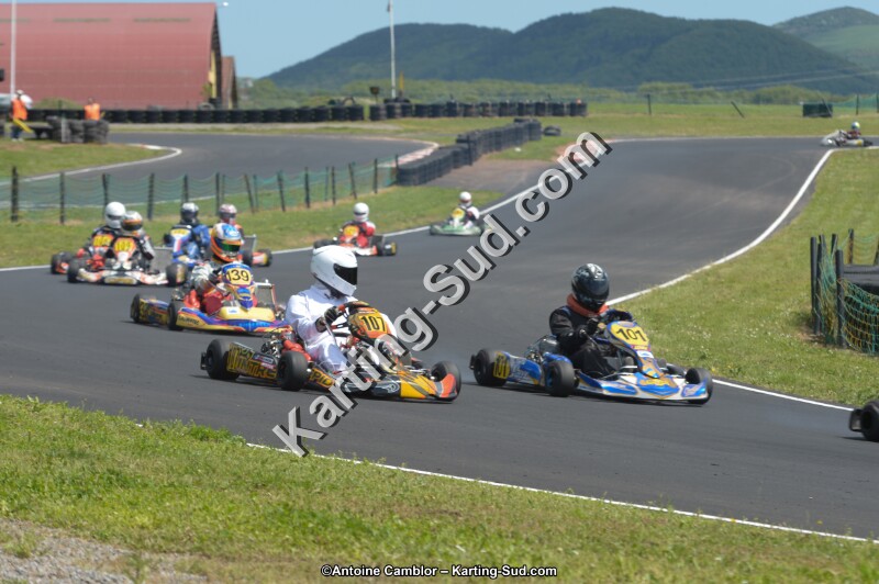DSC_4436.jpg