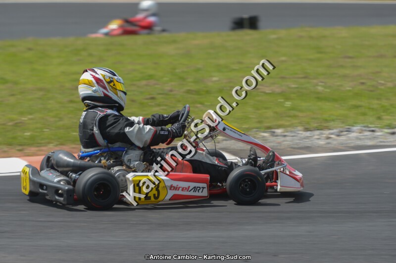 DSC_4469.jpg