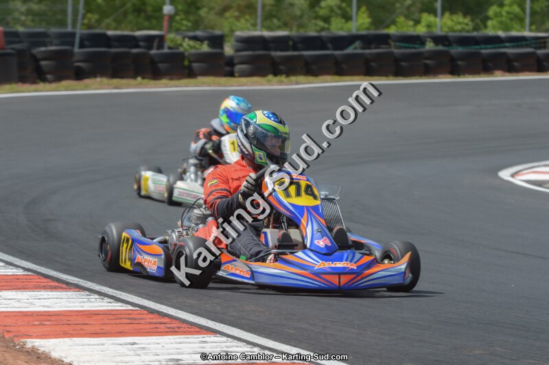 DSC_4481.jpg