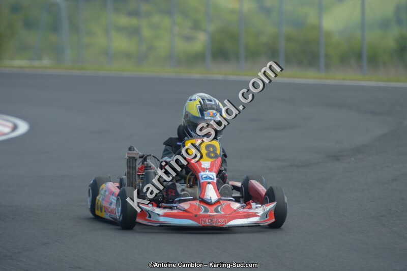 DSC_4826.jpg