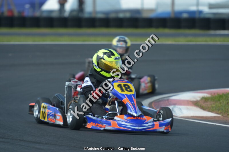 DSC_4855.jpg