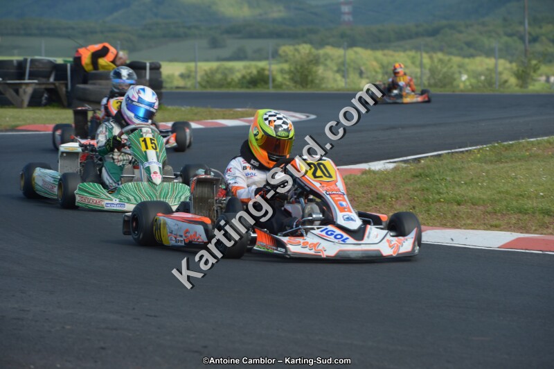 DSC_5203.jpg