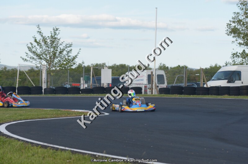 DSC_5446.jpg