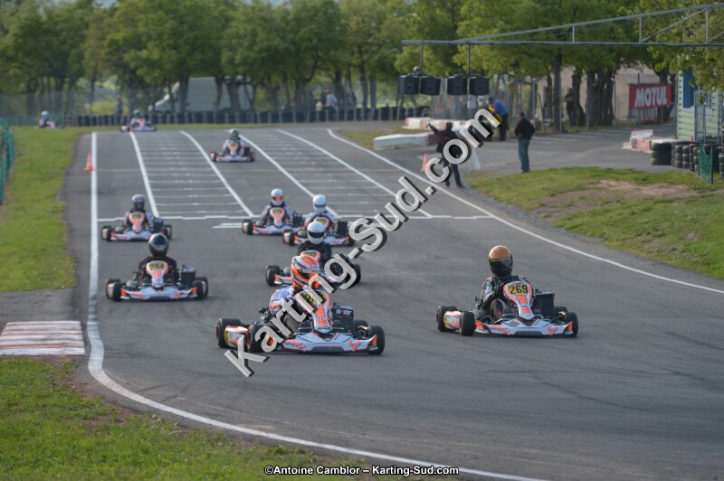DSC_5451.jpg