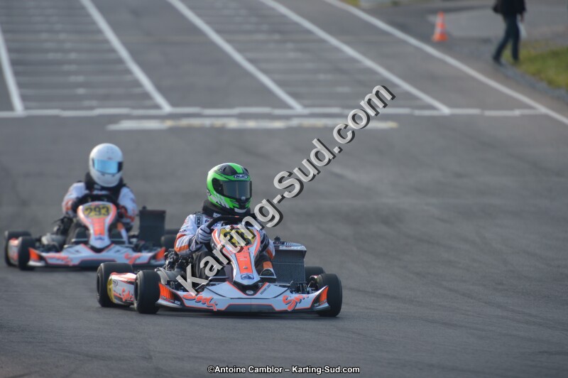 DSC_5453.jpg