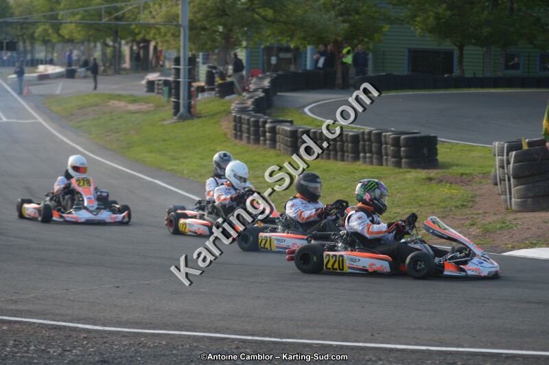 DSC_5460.jpg