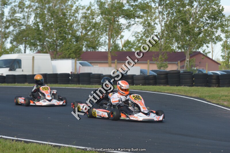 DSC_5464.jpg