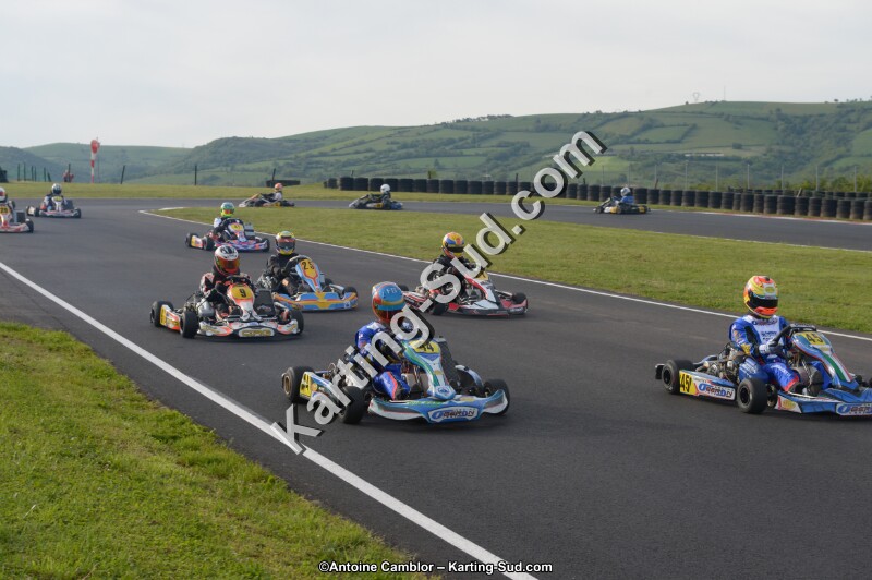 DSC_5782.jpg