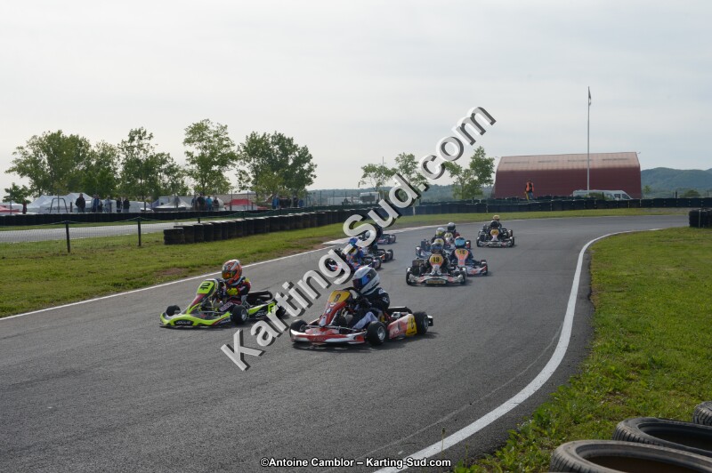 DSC_6012.jpg