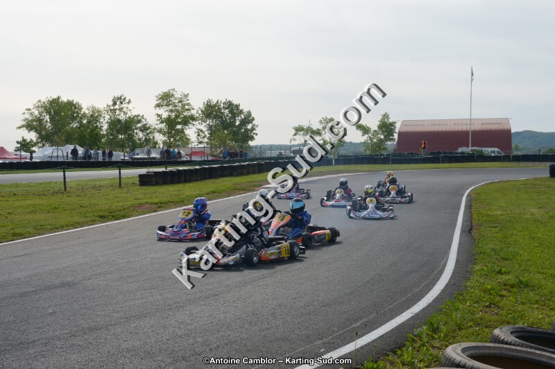 DSC_6013.jpg