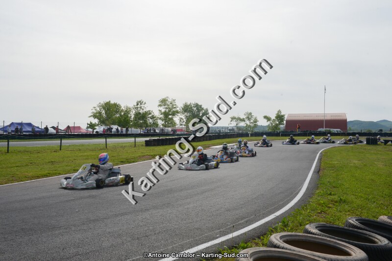 DSC_6074.jpg
