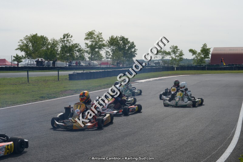 DSC_6145.jpg