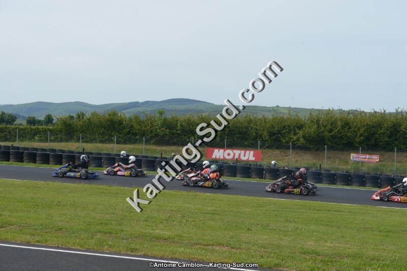 DSC_6262.jpg