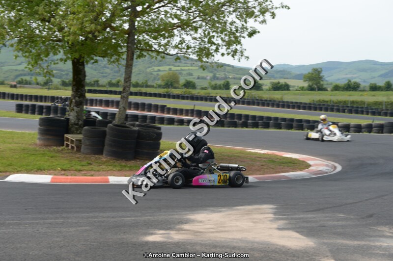 DSC_6319.jpg