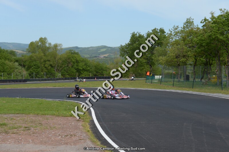 DSC_6451.jpg