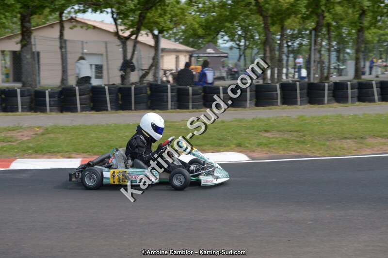 DSC_6454.jpg