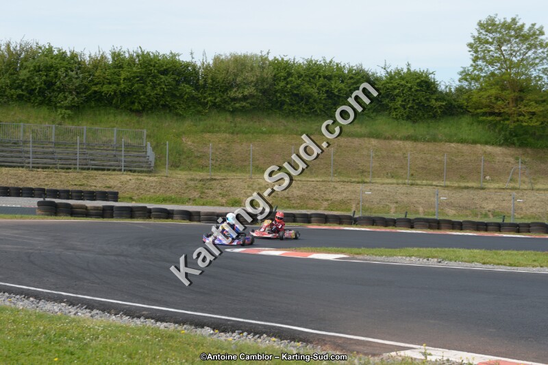 DSC_6458.jpg