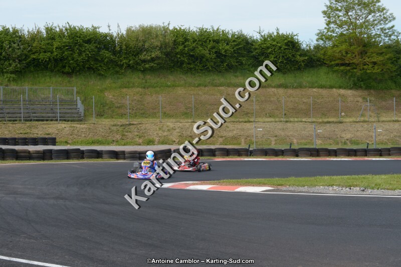 DSC_6465.jpg