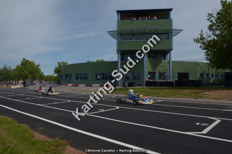 DSC_6511.jpg