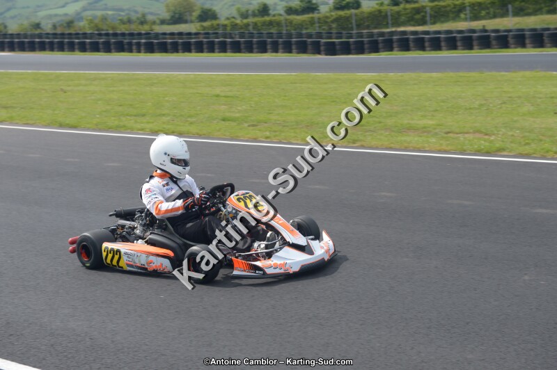 DSC_6517.jpg